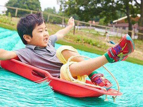 こもれび 森のイバライドの仕事画像2