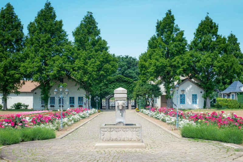 【テーマパークスタッフ】 この夏チャンスの大募集★夏休み短期バイトにも！シフト自由♪の仕事画像1