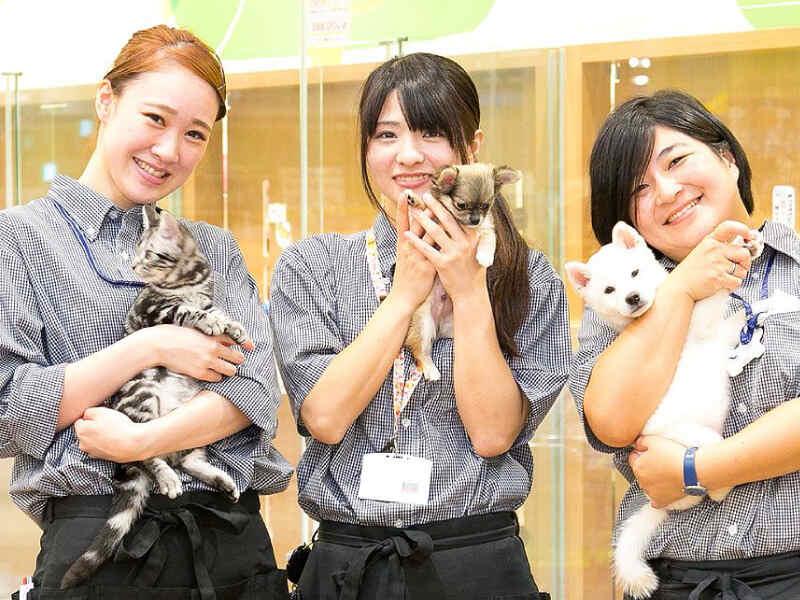 ワンニャンハウスの仕事画像3