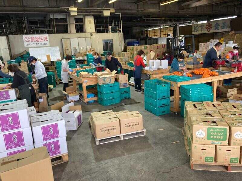大垣水産青果株式会社の仕事画像2