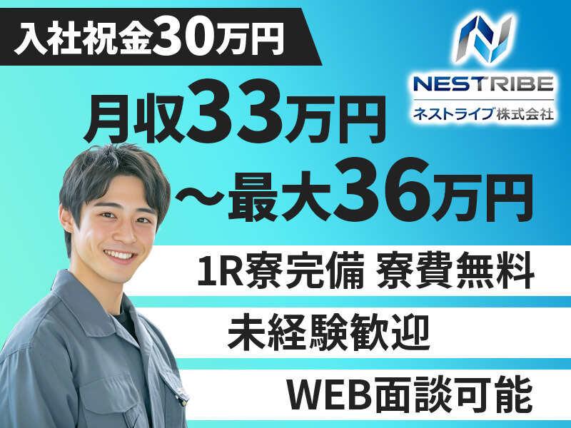 ネストライブ株式会社の仕事画像1