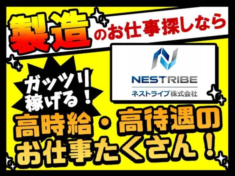 ネストライブ株式会社の仕事画像1