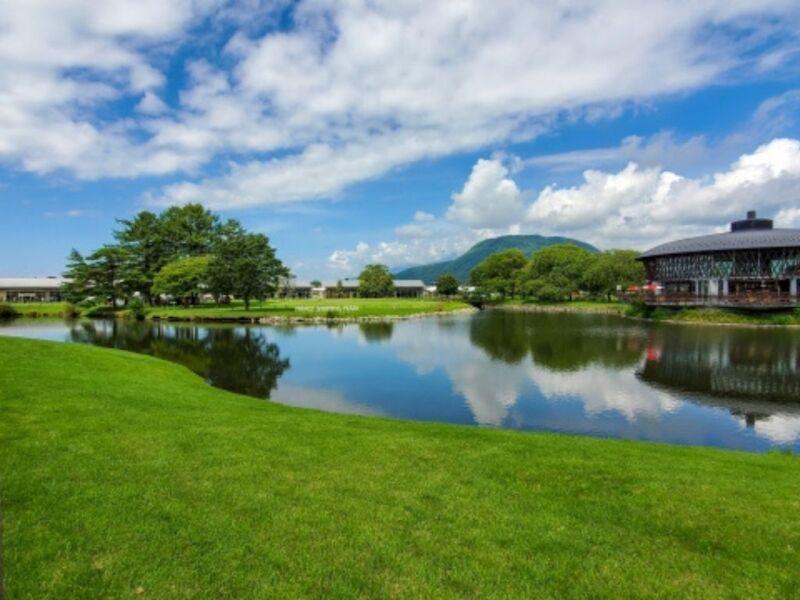 株式会社ストライプの仕事画像3