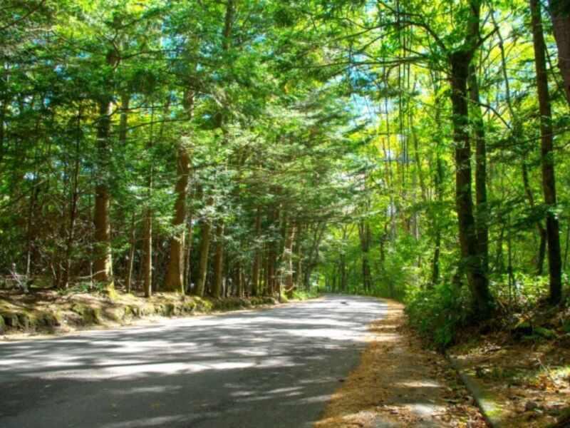 株式会社ストライプの仕事画像1