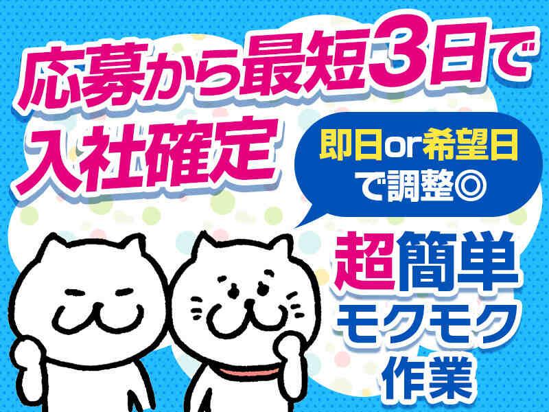 株式会社セリオ　人材派遣サカソ(案件-0224NS-A)の仕事画像1