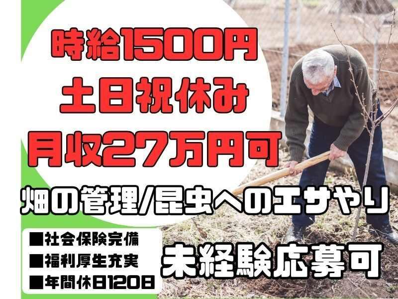 はたらーく株式会社 採用係【001】の仕事画像1