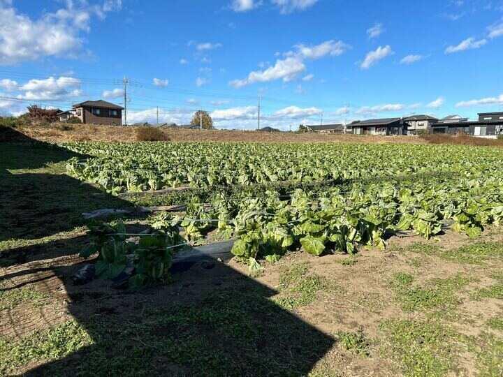 社会福祉法人日輪の仕事画像3