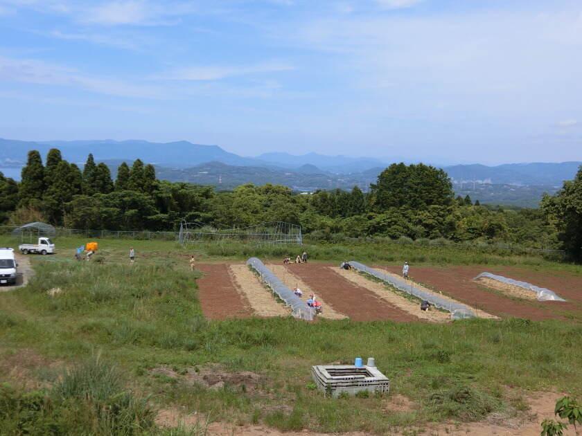 障害者支援施設こざくら学園の制服5