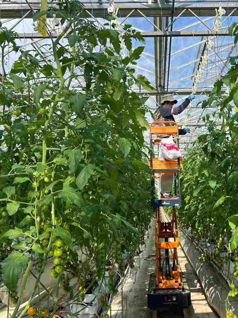 株式会社エア・ウォーター農園の制服1