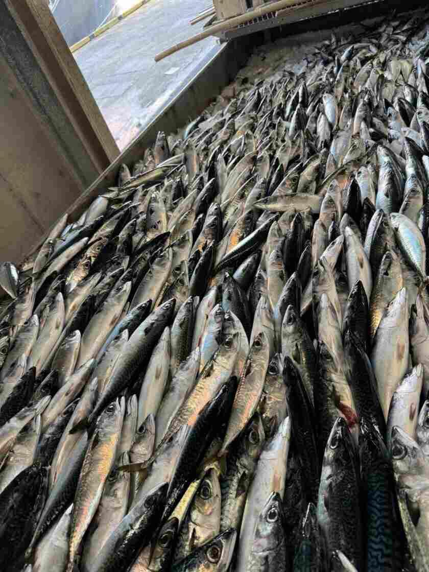 株式会社フクニの制服5