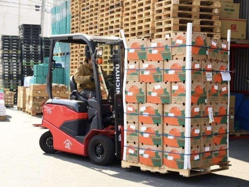 株式会社菜果の仕事画像2