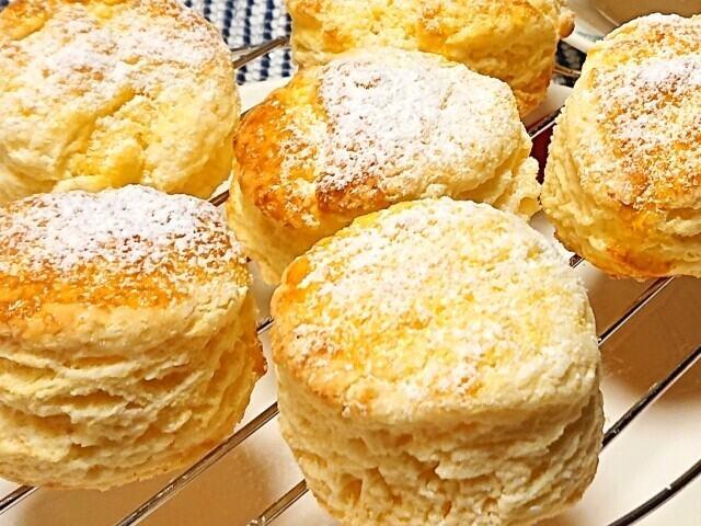 株式会社セレンティア 【001】の仕事画像3