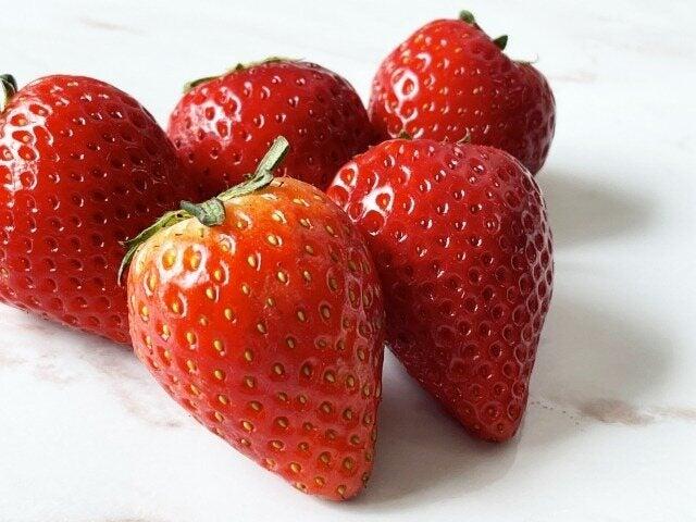 株式会社セレンティア 【001】の仕事画像3