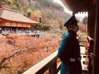 株式会社コトナの仕事画像2