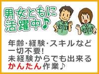 株式会社オネスティースタッフ 「11」の仕事画像1