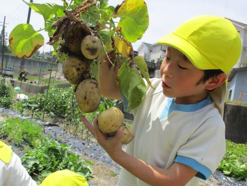 いちぶちどり保育園の仕事画像1