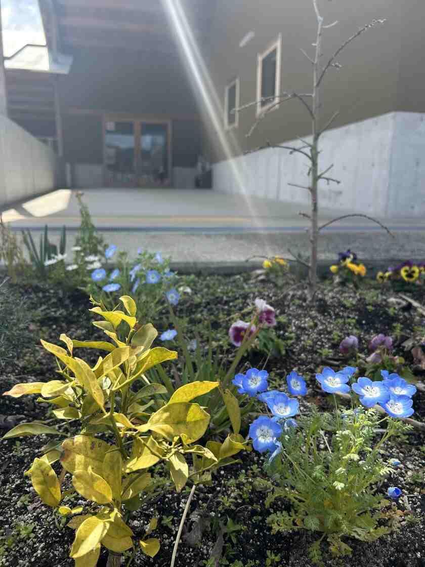 南畑ピノキオ森のこども園の制服8