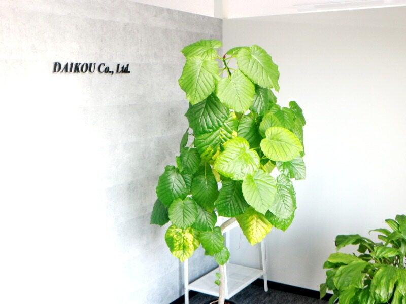 株式会社大弘の仕事画像2