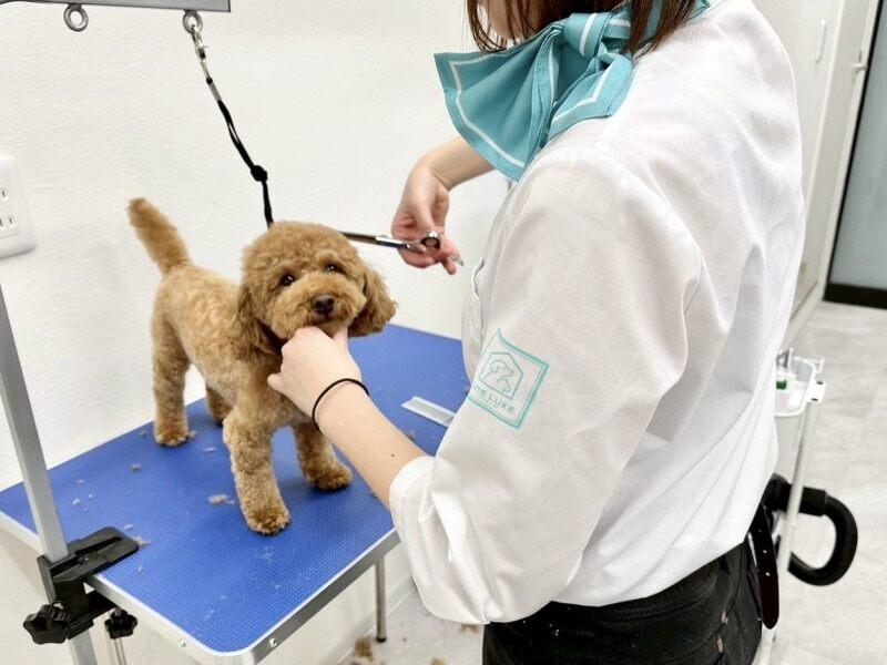 ワンルークの仕事画像3