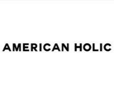 AMERICAN HOLICの仕事画像1