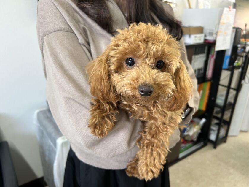 樹建設株式会社の制服7