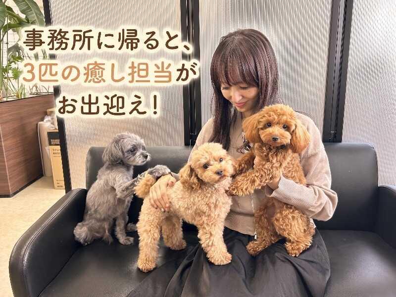 樹建設株式会社の仕事画像1