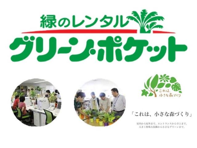 扶養内OK/植物を好きな方必見！オフィス緑化提案のテレアポ(オフィス、練馬区)のイメージ画像