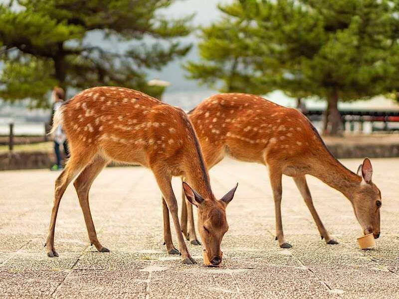 株式会社BRAVELYの制服9