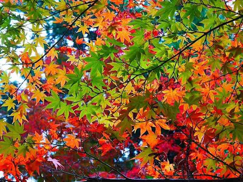 株式会社BRAVELYの制服6