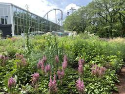 非日常のフラワーパークで特別な時間を届ける★植物園の植栽管理(建築・土木、稲城市)のイメージ画像