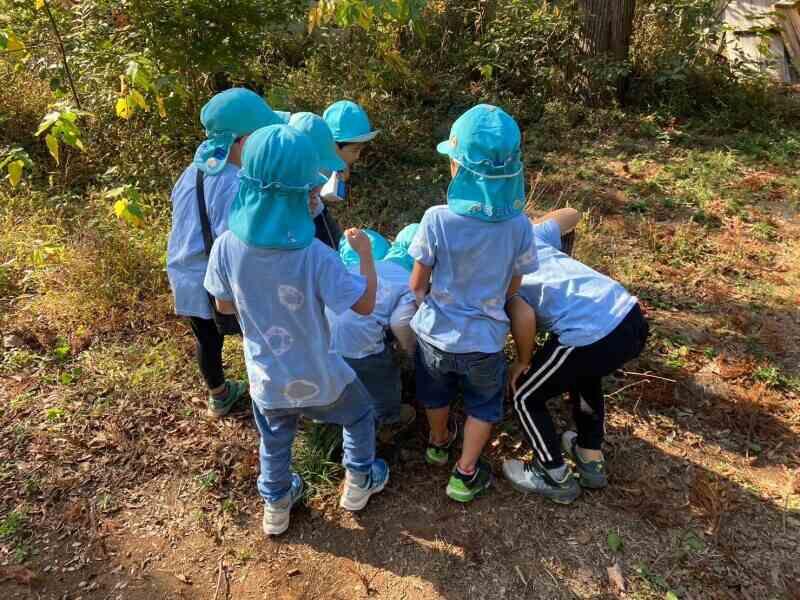 たちばな保育園の仕事画像1