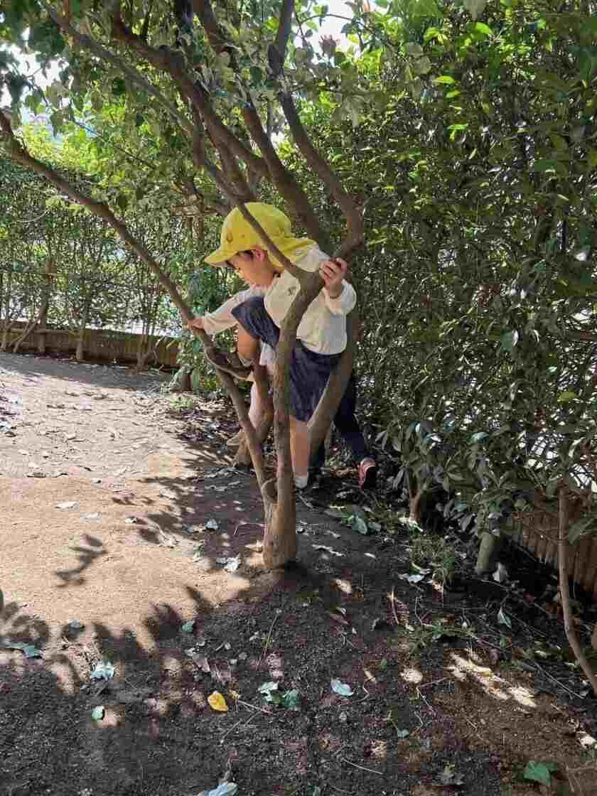 たちばな保育園の制服2