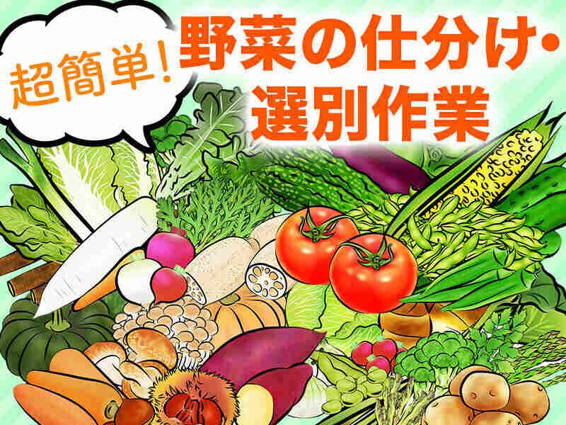 ヤマモト食販株式会社の仕事画像1