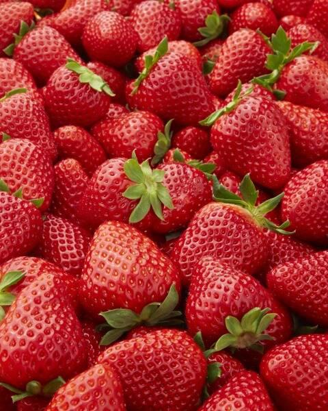 株式会社ユニックの仕事画像3