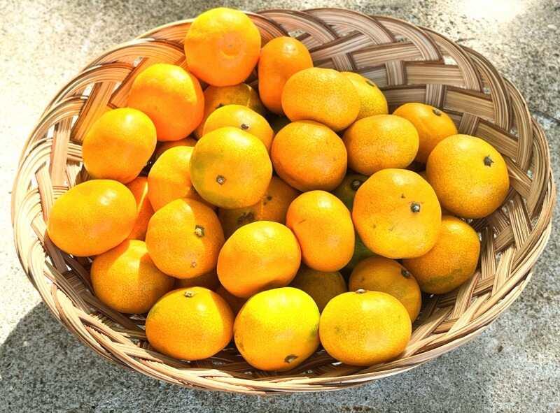 株式会社ユニックの仕事画像2