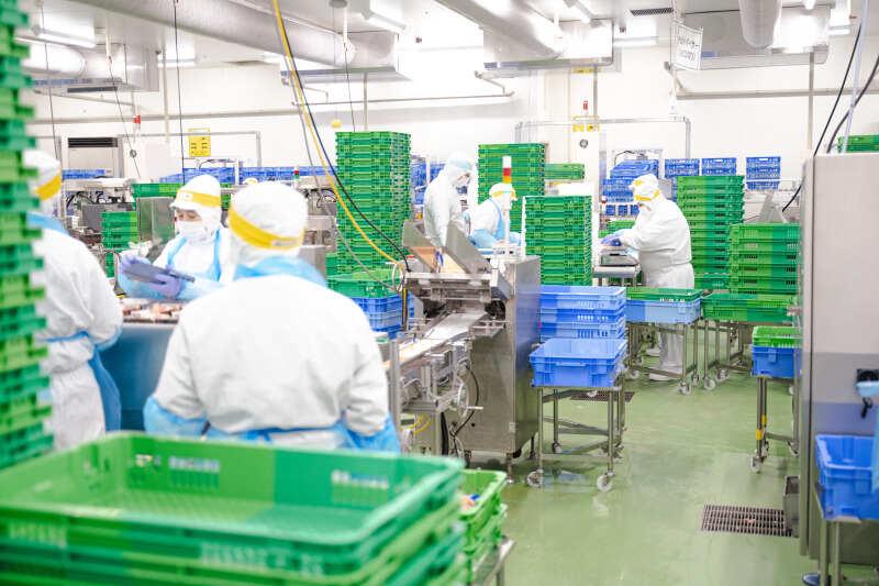 東急ストア　PC運営部東扇島センター畜産PCの仕事画像2