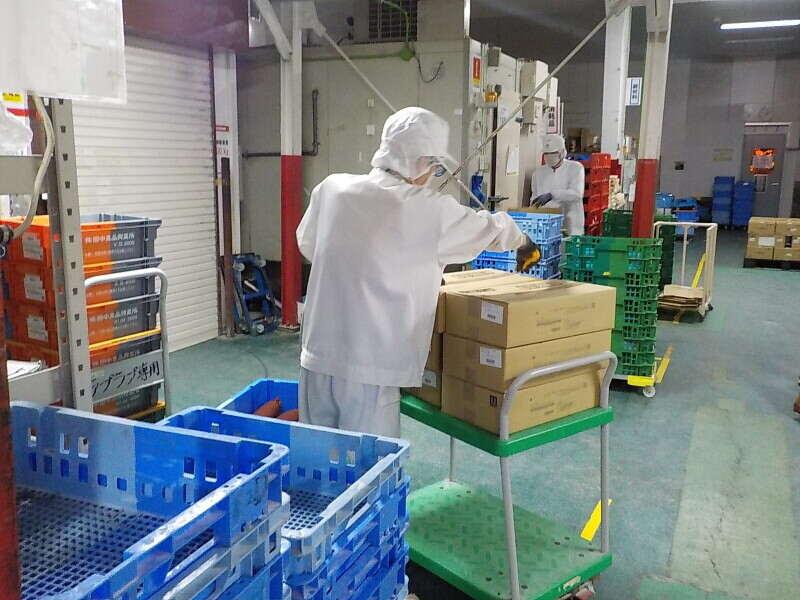 パン工場倉庫内での作業スタッフの仕事画像2