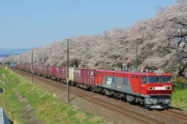 【インフラの要】貨物鉄道に関わるお仕事！(軽作業・物流、仙台市青葉区)のイメージ画像