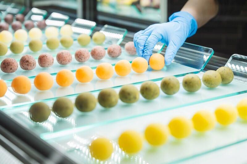 my botchan dango 30の仕事画像3