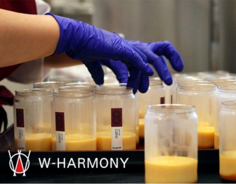 W-harmony　スイーツ部門の仕事画像2