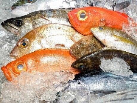 株式会社アクオ西日本 株式会社アクオ西日本【001】の仕事画像1