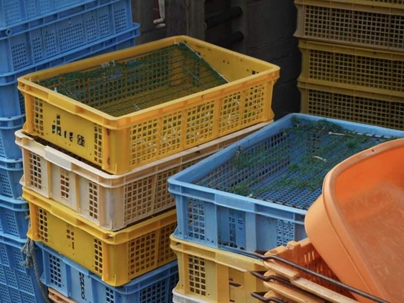 SeaBank株式会社の仕事画像2