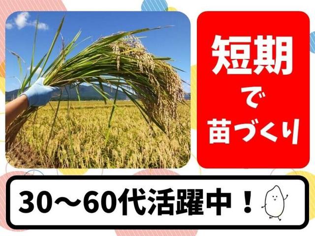 日勤/GW明け～7月末までの短期/お米の稲を育てるお仕事(軽作業・物流、宇佐市)のイメージ画像