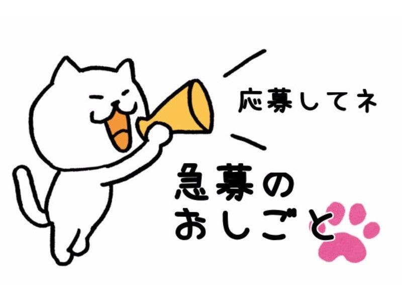 ヒューマンブリッジ株式会社 【北九州事業所】[1]の仕事画像2