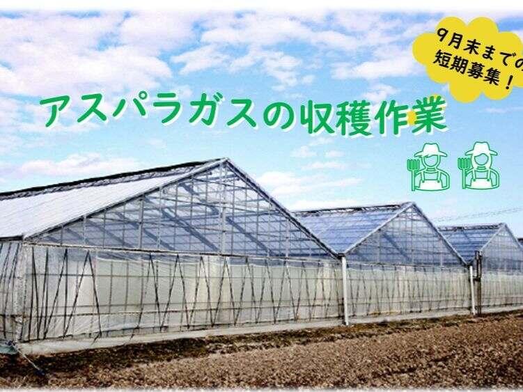 株式会社絆粋ファーマーズの仕事画像1