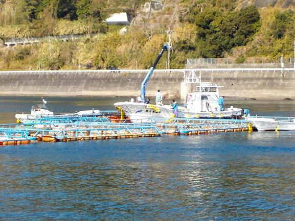 坂本飼料株式会社　鹿児島営業所の仕事画像3