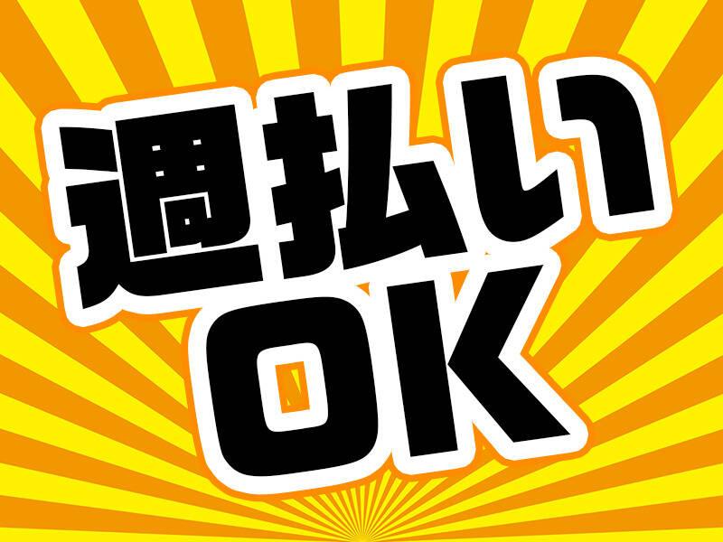キャリーオンヒューマン株式会社 キャリーオンヒューマン株式会社の仕事画像3
