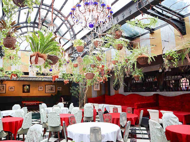 ステラートの仕事画像1