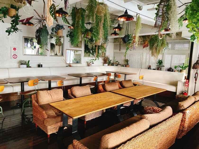 モンスーンカフェ 恵比寿の制服5