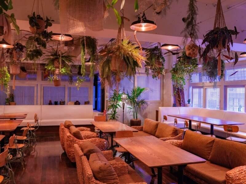 モンスーンカフェ 恵比寿の仕事画像1